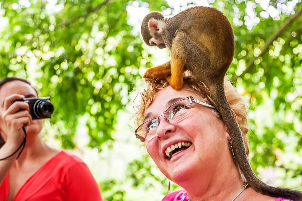Punta Cana: Monkey Land Half-Day Safari and Plantation - Monkeyland Squirrel Monkeys: The 45-Minute Shoulder-and-Hands Experience
