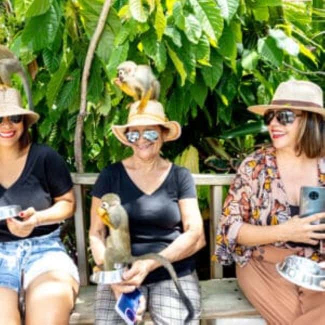 Punta Cana: Monkey Sanctuary Half-Day Tour - Coconut House + coffee and chocolate: A tasty Dominican detour