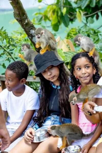Punta Cana: Monkey Sanctuary Half-Day Tour - The Bonao mountain views stop: Why it feels more authentic