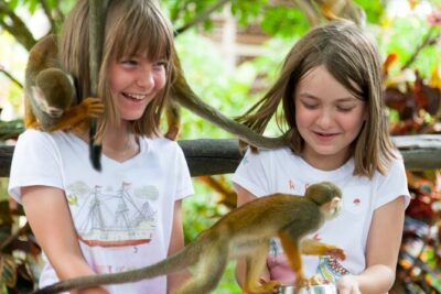 Punta Cana Monkeyland and Zipline Two Adventures in One Day - Getting From Your Hotel to the Course: Pickup, Transport, and First Instructions