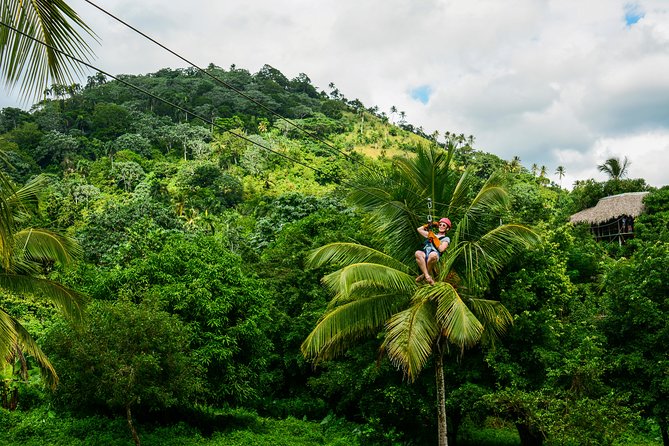 Punta Cana Monkeyland and Zipline Two Adventures in One Day - Price and Value: Is $115 a Good Deal?