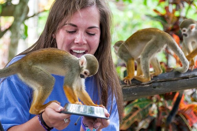 Punta Cana Monkeyland and Zipline Two Adventures in One Day - Guides and Service: What People Seem to Remember Most