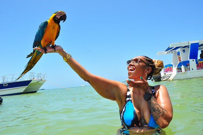Punta Cana Party Boat Cruise with Snorkeling, Open Bar & Hip Hop - Dolphin Aquatic Center Stop 2: A Brief Interaction Moment