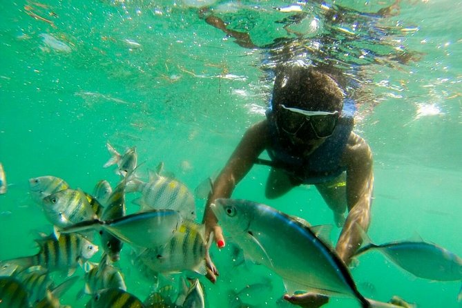 Punta Cana Party Boat Snorkeling with Music DJ and Open Bar - Price and value: what $61.38 actually buys you