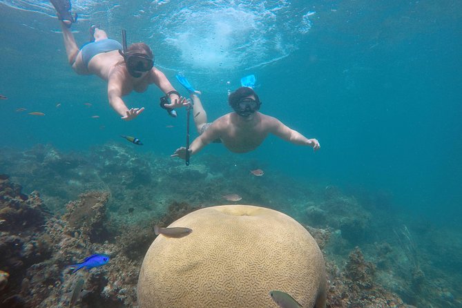 Punta Cana Private Cruise Up To 10 Snorkeling & Seafood lunch - Key Takeaways Before You Sail
