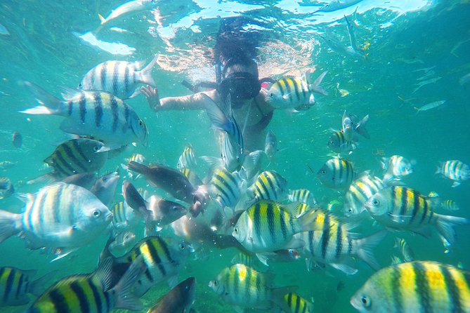 Punta Cana Private Cruise Up To 10 Snorkeling & Seafood lunch - Getting to the Water: Pickup, Cape Engano, and Your 4-Hour Window