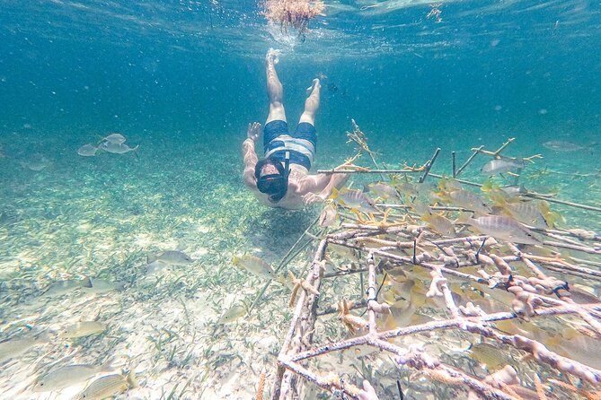 Punta Cana Private Cruise Up To 10 Snorkeling & Seafood lunch - The Seafood Lunch and Floating Kitchen: What You Actually Eat