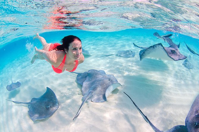 Punta Cana Private Virgen Beach Small & Big Group Snorkel Cruise - Open bar, snacks, and music: how the onboard vibe works