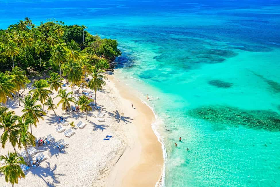 Punta Cana: Samaná Whale Watching, Bacardi & Limon Falls - Key Highlights You’ll Care About