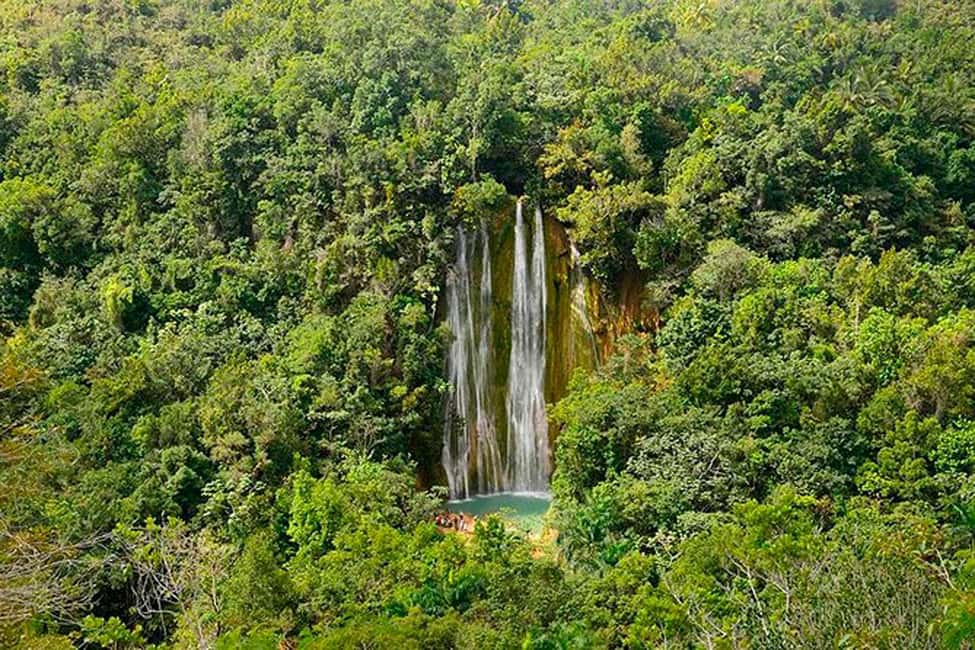Punta Cana: Samaná Whale Watching, Bacardi & Limon Falls - Why This Samaná Day Trip Makes Sense From Punta Cana