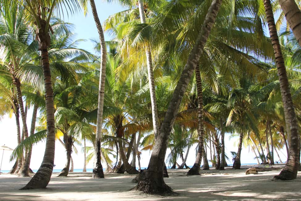 Punta Cana: Saona Island and Altos de Chavón Day Trip - The catamaran cruise: Caribbean scenery and a party soundtrack