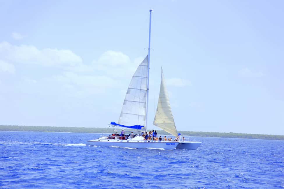 Punta Cana: Saona Island and Altos de Chavón Day Trip - Lunch and unlimited drinks: what the buffet experience is like