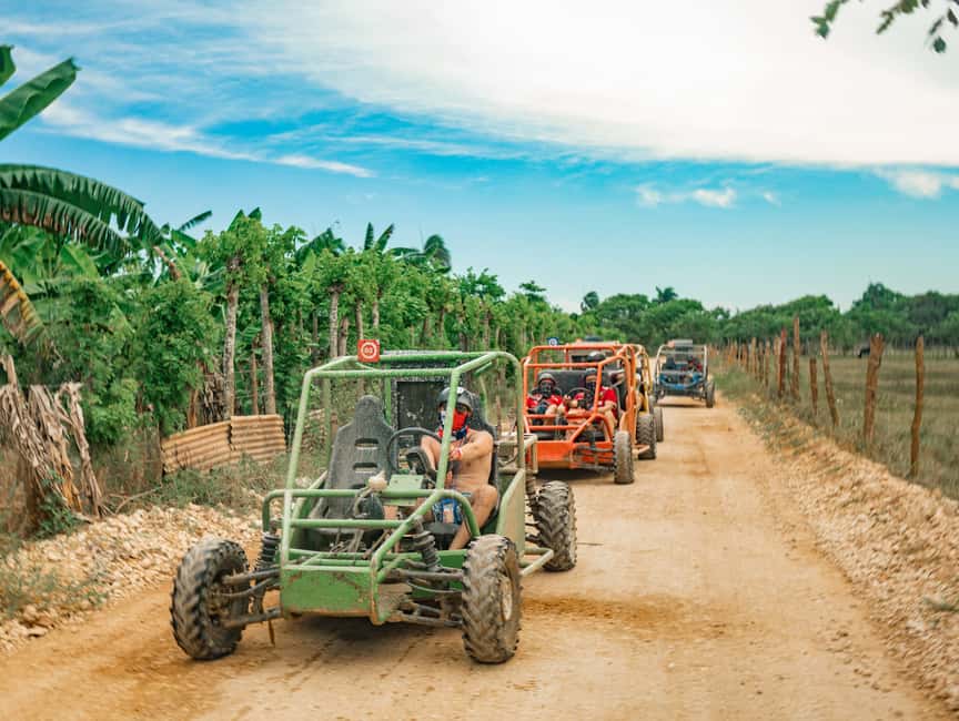 Punta Cana: Saona Island and Buggy Combo - Key things to know before you go