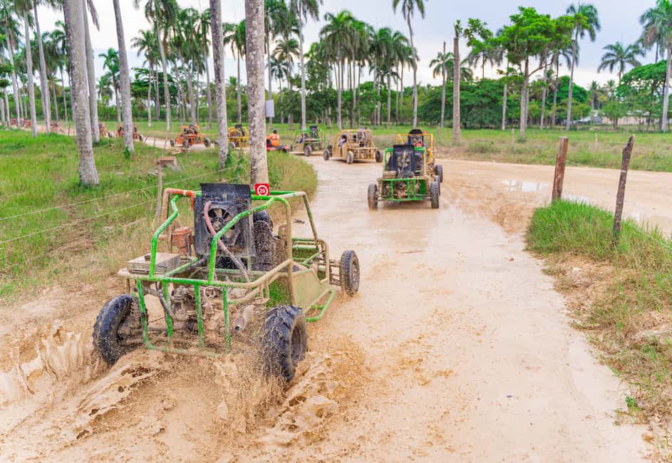 Punta Cana: Saona Island and Buggy Combo - Macao Beach: why it’s on your list, and what to do if time feels short