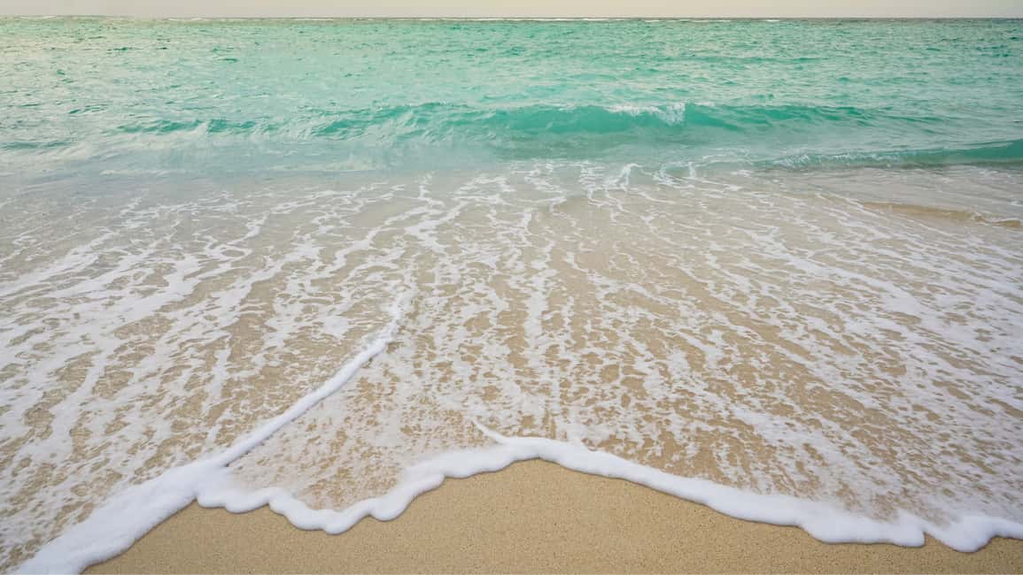 Punta Cana: Saona Island Catamaran Tour with Food & Open Bar - Who this Saona Island tour fits best (and who should skip it)