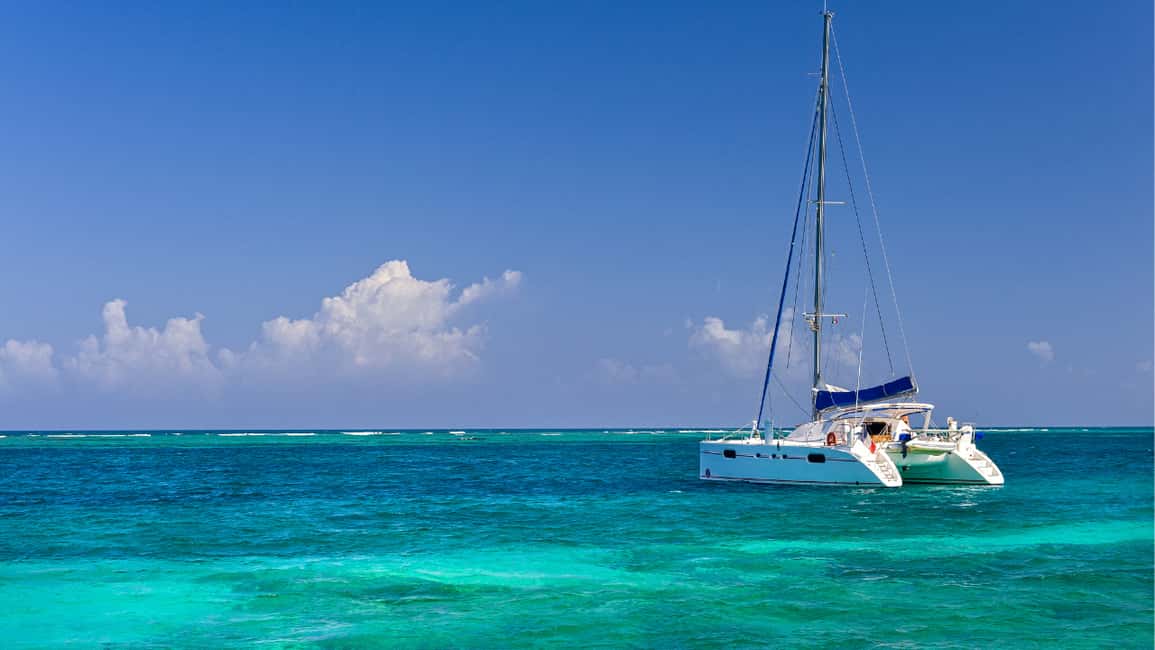 Punta Cana: Saona Island Catamaran Tour with Food & Open Bar - Guides and group vibe: what the day feels like with the crew