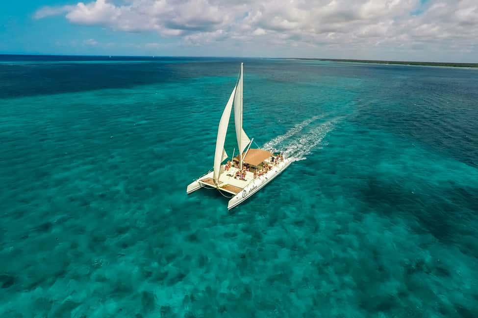 Punta Cana: Saona Island Full-Day All-Inclusive Boat Tour - Speedboat Cruise: The Caribbean Ride You’ll Remember