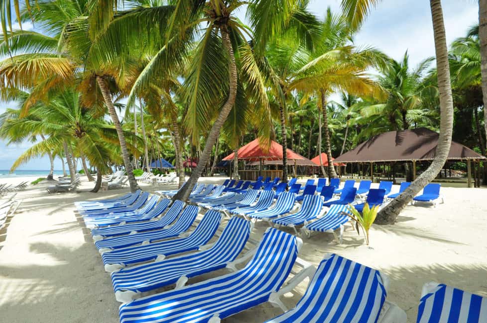 Punta Cana: Saona Island Full-Day All-Inclusive Boat Tour - Dominican Buffet Lunch and Open Bar: What You’re Really Paying For