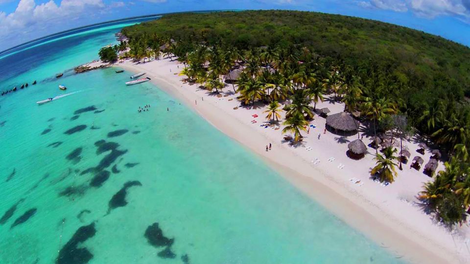 Punta Cana: Saona Island Full-Day All-Inclusive Boat Tour - Catamaran Return: Music, Dancing, and That Slightly Chaotic Fun