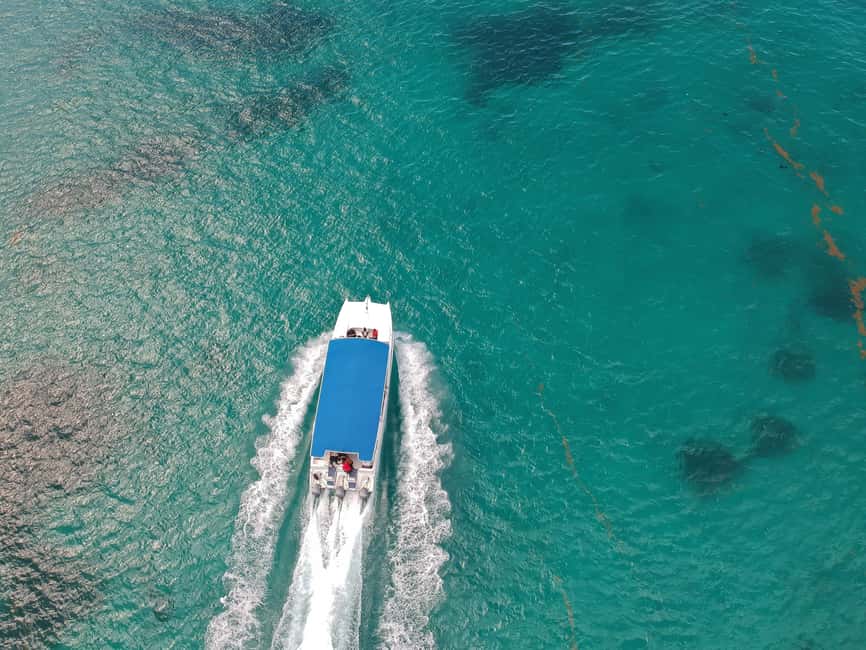 Punta Cana: Saona Island Full-Day All-Inclusive Boat Tour - Who This Tour Suits (and Who Should Skip It)