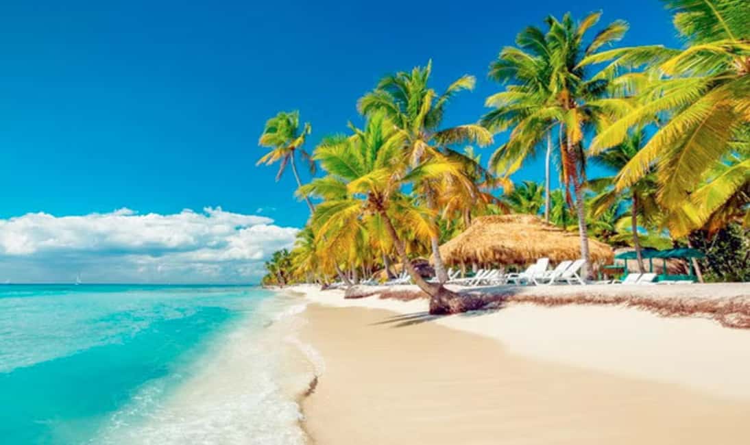 Punta Cana: Saona Island Tour with Lunch and Drinks - Palmera Turística beach lunch: what the buffet actually delivers