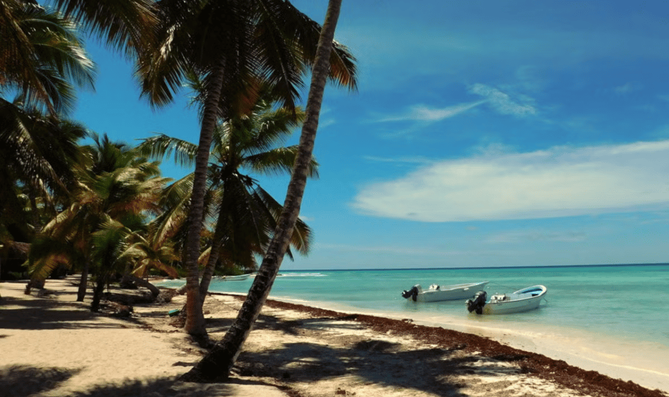 Punta Cana: Saona Island Tour with Lunch and Drinks - Who this Saona trip suits best