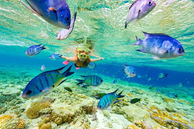 Punta Cana Snorkeling Cruise and Dune buggy Combo Adventure - Key Things to Know Before You Go