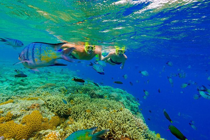 Punta Cana Snorkeling Cruise and Dune buggy Combo Adventure - Boarding the Catamaran: Sand Bank Stop and Offshore Snorkeling
