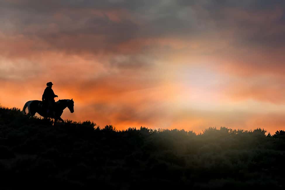 Punta Cana: Sunset Horseback Ride in Macao Beach and Forest - Key things I’d watch for
