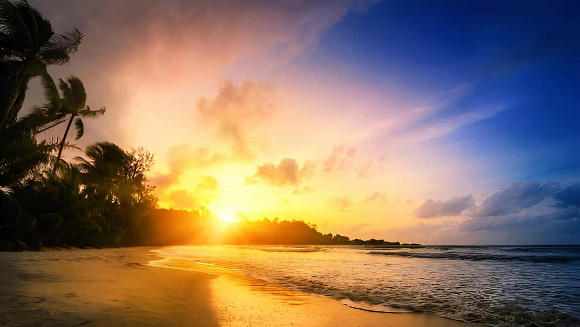 Punta Cana: Sunset Horseback Ride in Macao Beach and Forest - Shopping Stop: A Quick Souvenir Stretch Without the Trap