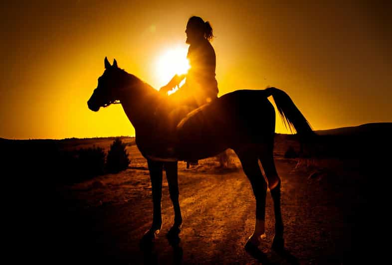 Punta Cana: Sunset Horseback Ride in Macao Beach and Forest - Safety, Comfort, and Trail Conditions (What to Expect)