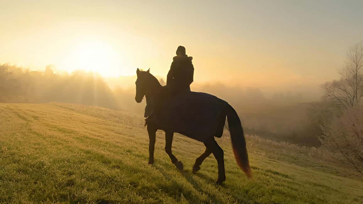 Punta Cana: Sunset Horseback Ride in Macao Beach and Forest - Price and Value: Is $61 a Good Deal?