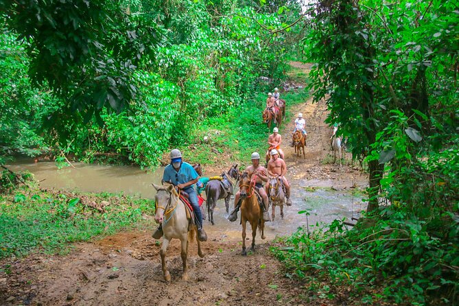 Punta Cana Zipline Adventure with Buggies and Horseback Riding - Getting there in Punta Cana: pickup and a mountain drive