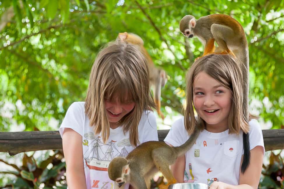 Punta Cana: Ziplines Adventures & Monkeyland Entry - Key things I’d plan around before you go