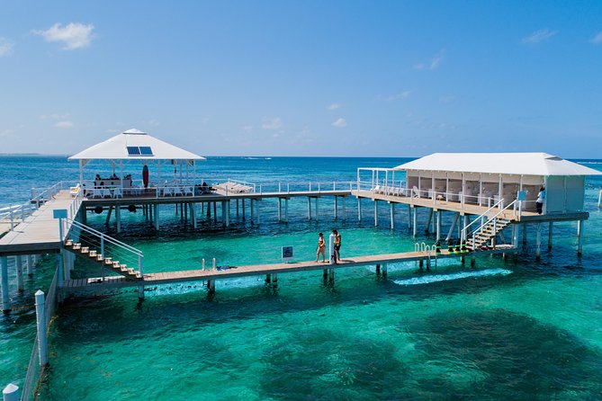 Reef Explorer Multiple activity Excursion from Punta Cana by Marinarium - Key points to know before you go