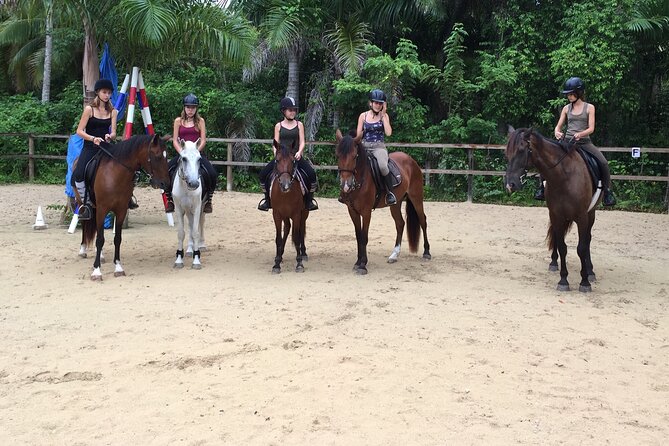 Ride Horses on the Beach - The Alleman beach stop: time to cool off and play
