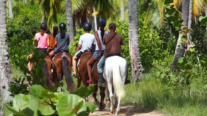 Ride Horses on the Beach - How the Samana Peninsula trail ride actually feels