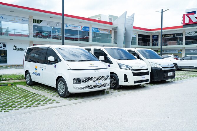 Round Trip Top-Rated Punta Cana Airport Transfer to your Hotel - Group Size Limits: Why Up to 100 Matters