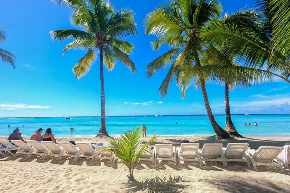 Saona Island: Catamaran/Speedboat Tour to a Dream Beach - Should you book Saona Sail & Speed to Saona Island?
