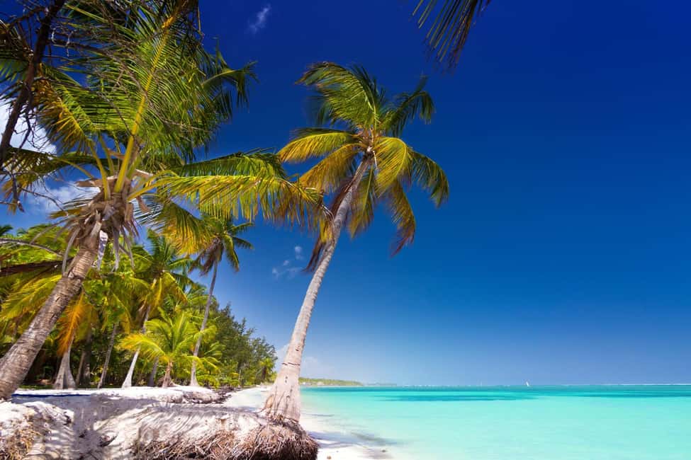 Saona Island: Catamaran/Speedboat Tour to a Dream Beach - Practical packing and sun-smart habits that actually help