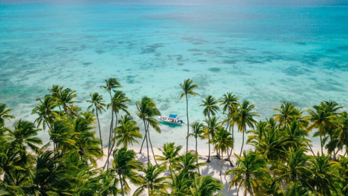 Saona Island: Catamaran/Speedboat Tour to a Dream Beach - Arriving at Saona Island: 2.5 hours on white sand and coconut palms