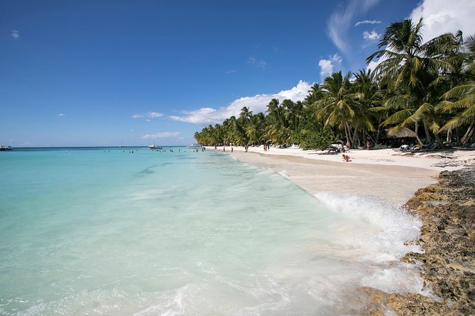 Saona Island Day Trip From Punta Cana with Lunch and Open Bar - The natural swimming pool stop: starfish spotting in shallow water