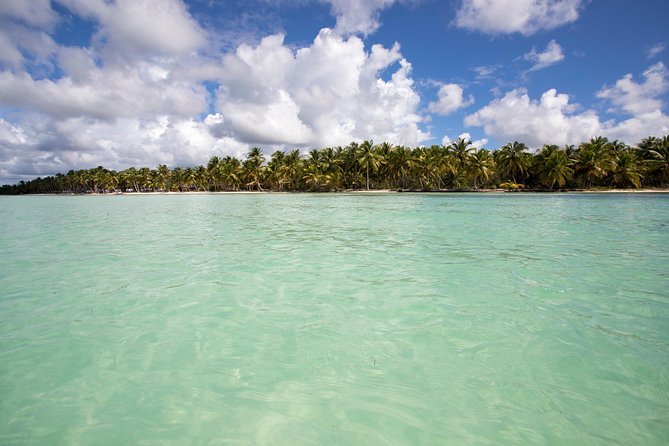 Saona Island Day Trip From Punta Cana with Lunch and Open Bar - Isla Saona beach time: how to make your ~3 hours count