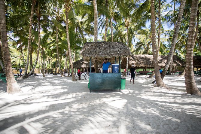 Saona Island Day Trip From Punta Cana with Lunch and Open Bar - Lunch and drinks: what open bar really means in your cup