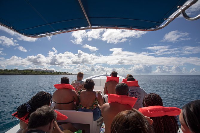 Saona Island Day Trip From Punta Cana with Lunch and Open Bar - Return trip by catamaran: party energy, but keep an eye on timing