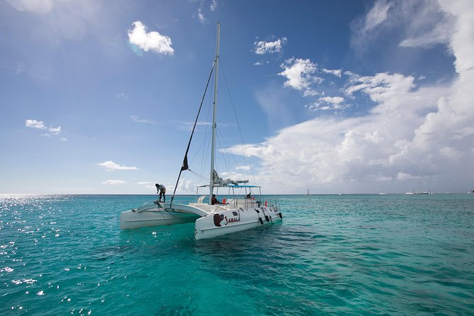 Saona Island Day Trip From Punta Cana with Lunch and Open Bar - The guide experience: names you’ll hear and what good guiding does