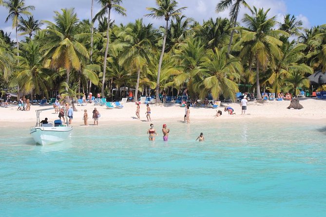 Saona Island Excursion by Catamaran and Speedboat - Saona Island From Punta Cana: The Big Picture