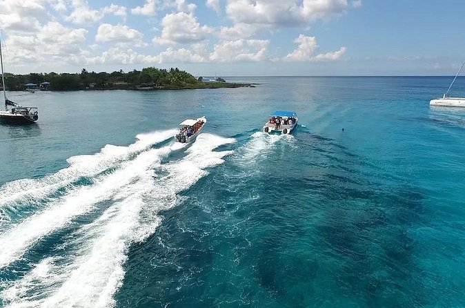 Saona Island Excursion by Catamaran and Speedboat - Sol Cana Tours Experience: What the Guides and Crowd Energy Look Like