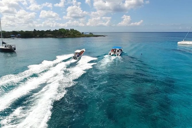 Saona Island Excursion by Catamaran and Speedboat - Price and Value: Is $95 Good for What You Get?
