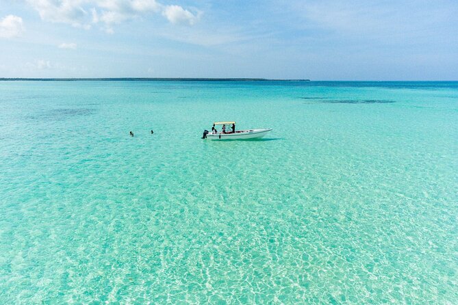 Saona Island Excursion from Bayahibe - Quick take: what makes this Saona excursion tick
